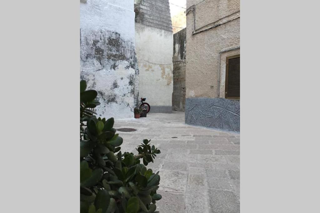 Historic Apartment In Centre Of City 100M To Sea モノーポリ エクステリア 写真